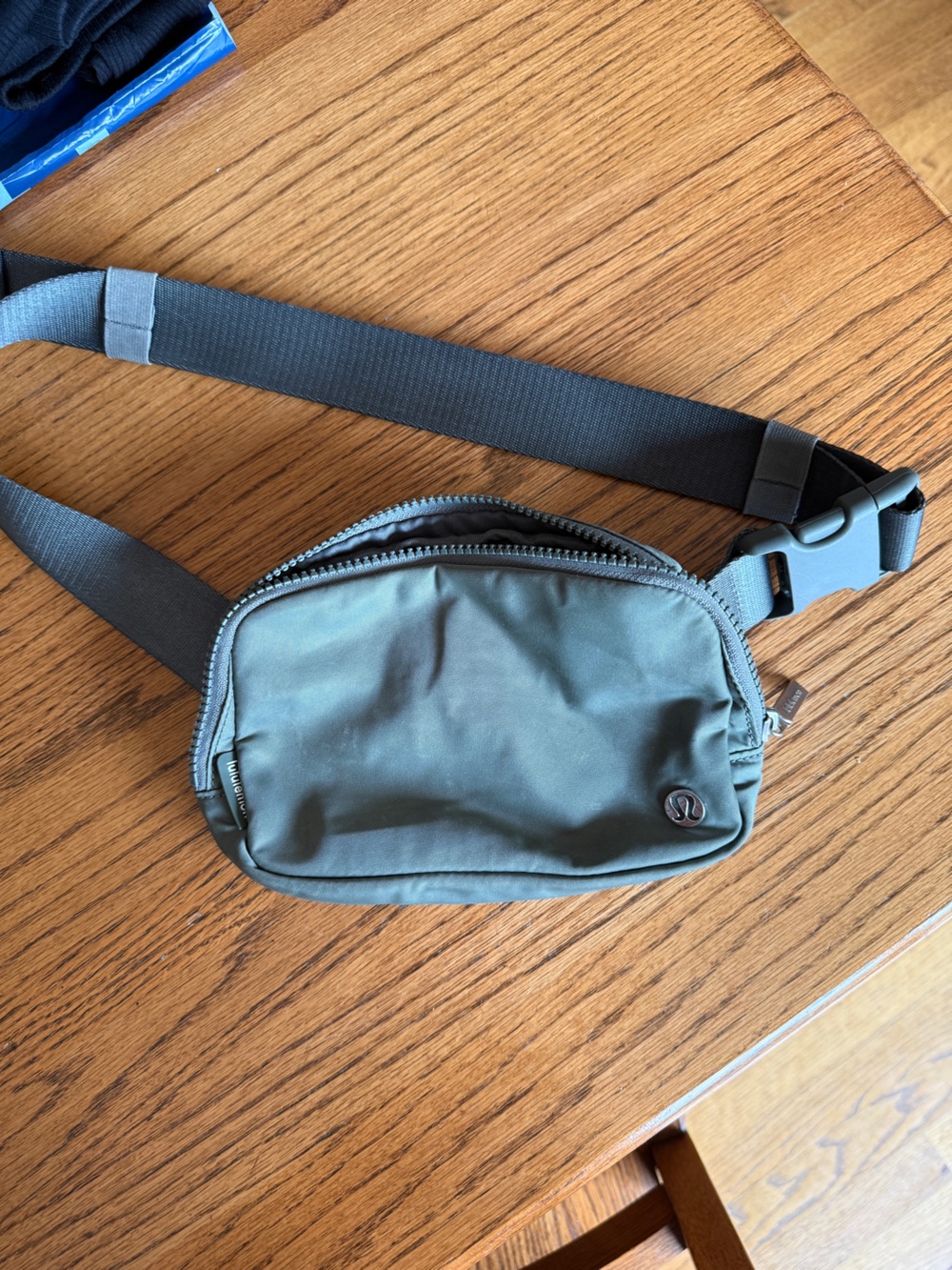 Everywhere Belt Bag